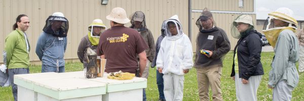 Start Beekeeping in 10 Steps, Markdale Real Estate, Grey Highlands Real Estate