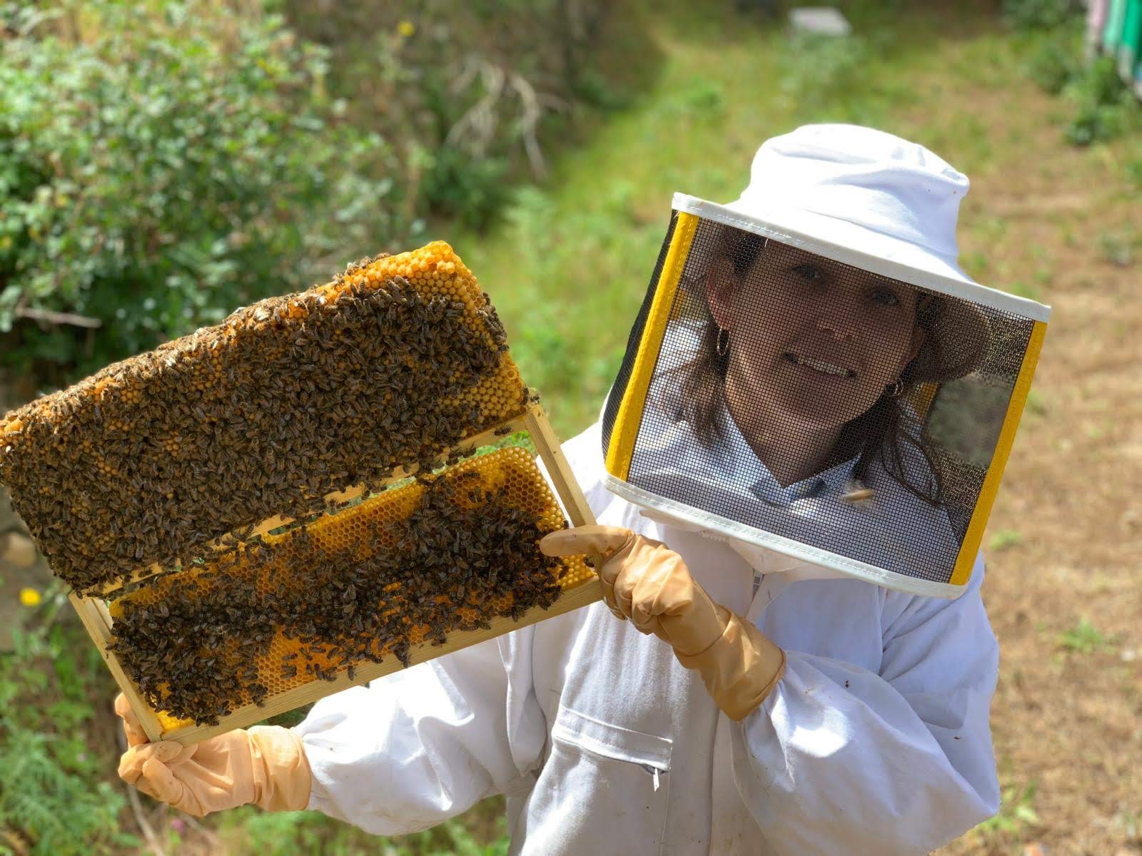 Start Beekeeping in 10 Steps, Markdale Real Estate, Grey Highlands Real Estate