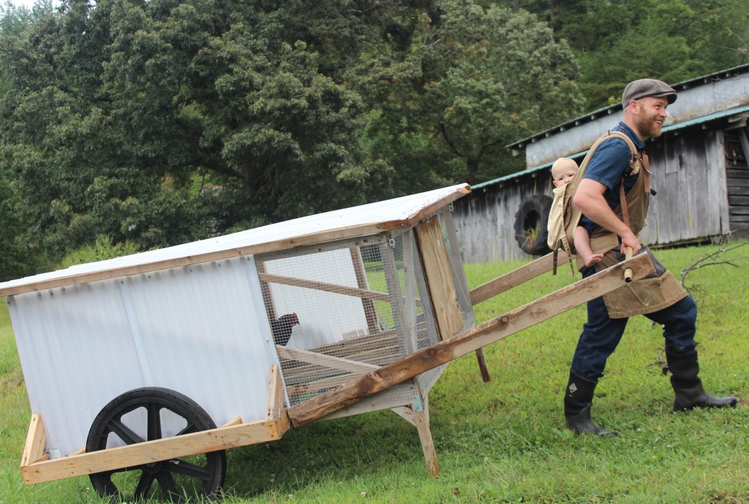 How to Make Your Own Chicken Tractor, Grey and Bruce County farming, Markdale Real Estate, Grey Highlands Real Estate