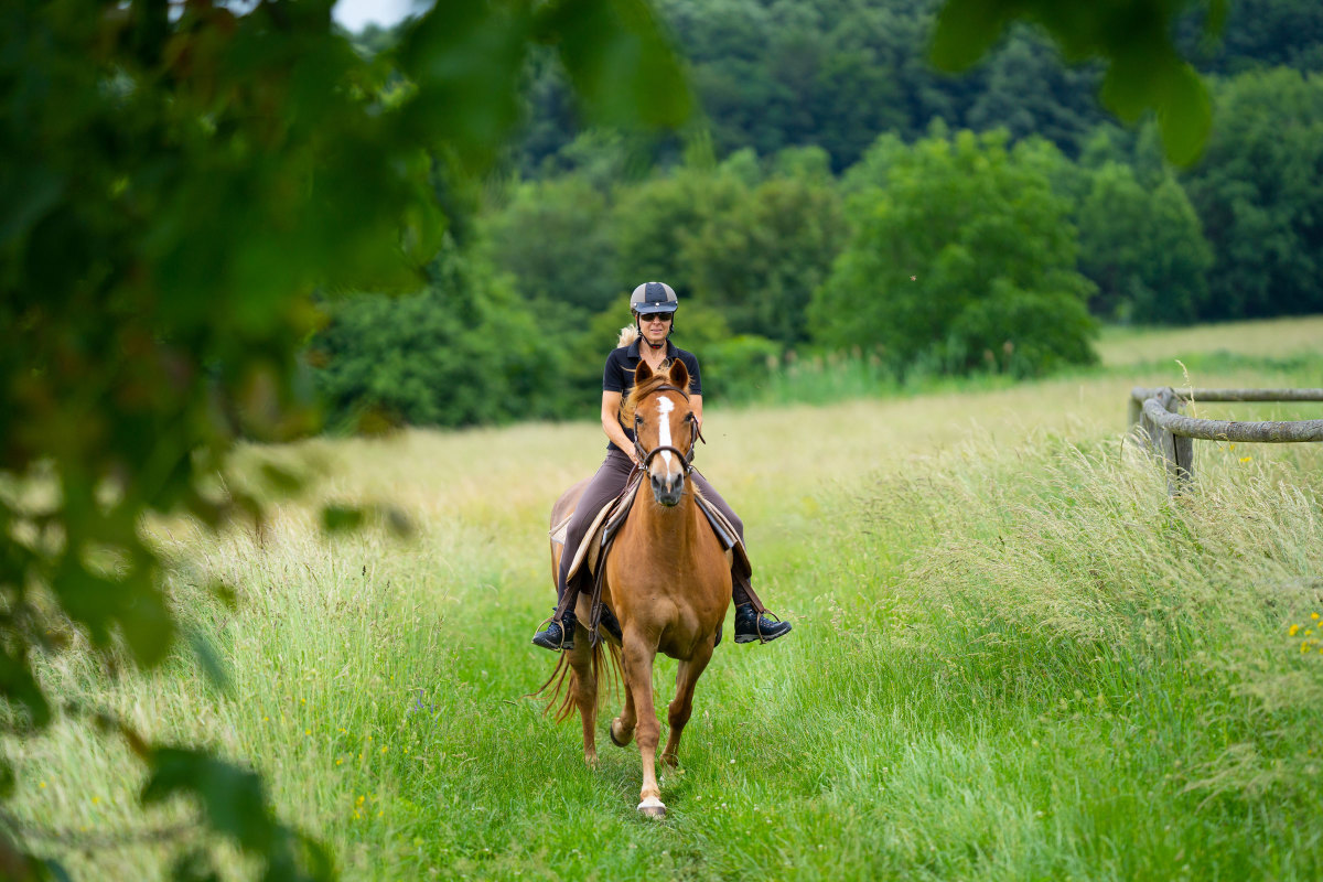 10 Tips for Horse Trail Riding, Markdale Real Estate, Grey Highlands Real Estate