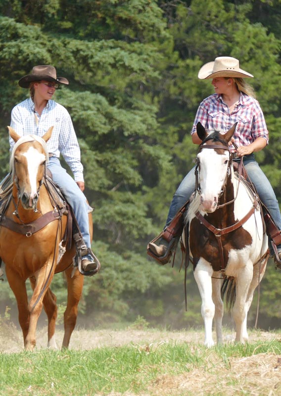 10 Tips for Horse Trail Riding, Markdale Real Estate, Grey Highlands Real Estate
