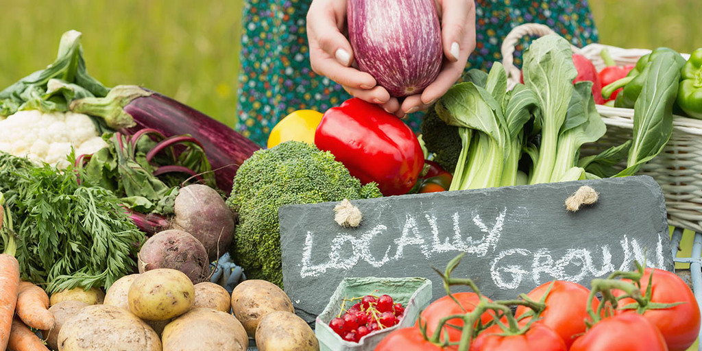 Grey and Bruce County Market Gardening, Markdale Real Estate, Grey Highlands Real Estate