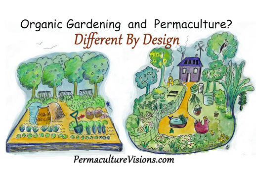 What is Permaculture? Markdale Real Estate, Grey Highlands Real Estate