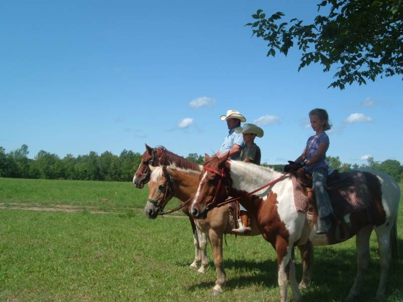 Explore the Trails in Grey & Bruce! Markdale Real Estate, Grey Highlands Real Estate